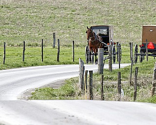 William D Lewis The Vindicator  Amish buggy traffic on Heather Hgts rd in Wilmington Twp.