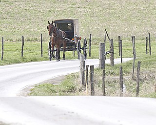 William D Lewis The Vindicator  Amish buggy traffic on Heather Hgts rd in Wilmington Twp.
