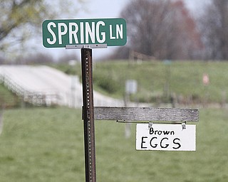 William D Lewis The Vindicator  Many Amish farms sell eggs as does this one in Wilmington Twp.