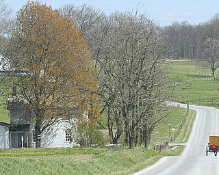 William D Lewis The Vindicator  Amish buggy traffic on Heather Hgts rd in Wilmington Twp.