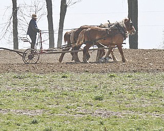 William D Lewis The Vindicator  An Amish man works his fields along Heather Hgts rd in Wilmington Twp.