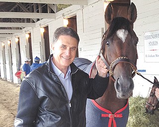 Youngstown businessman Bruce Zoldan, a partner in the Team Valor horse racing consortium, holds the bridle of Went the Day Well, the team’s contender in the 138th Kentucky Derby. Last year, Team Valor’s Animal Kingdom won the 137th Kentucky Derby as a 21-1 longshot. Went the Day Well also is expected to be a 20-1 longshot in this year’s race, which is Saturday at Churchill Downs.