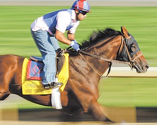 Exercise rider Zeke Castro puts Kentucky Derby entrant Went the Day Well through the paces during a workout
for Wednesday at Churchill Downs in Louisville, Ky. In Wednesday’s draw, it was determined that the colt, which is owned by the horse racing consortium of Team Valor of which Youngstown businessman Bruce Zoldan is a partner, will race in the 13th post position in Saturday’s race.