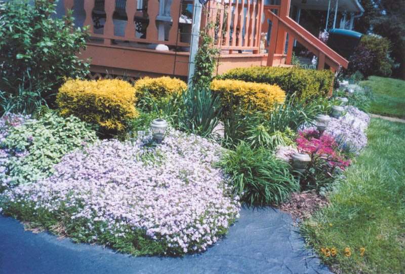 Photo detail