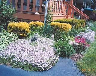 A closer look at Nancy Kausits' garden shows a variety of blooms and greenery at her Youngstown home. Photo sent in by her daughter, Autumn Kausits.