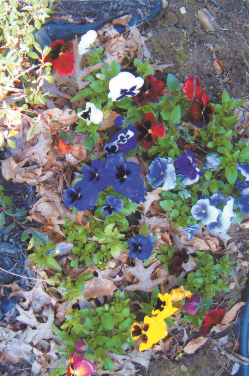 Photo detail
