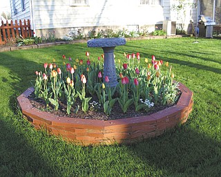 Plenty of spring blooms arrived early this year at the home of Theresa Starr and Frank Kishel in Boardman.