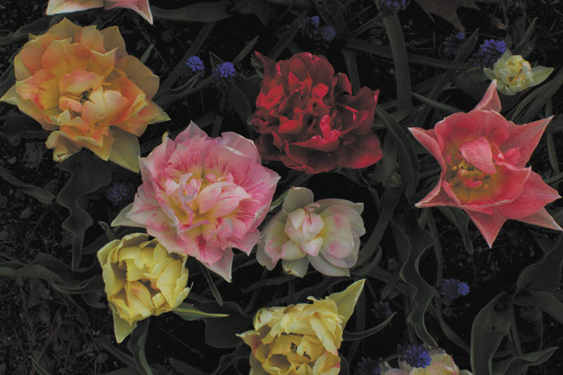 Photo detail