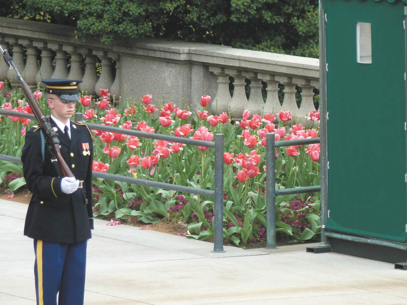 Photo detail