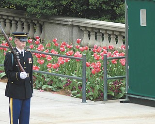 Mickey Marshall, 17, took these photos on a college visit to Washington and Lee University in Washington, D.C., before his senior year at Boardman High School. He is studying photography. Photo submitted by Daniel Marshall.
