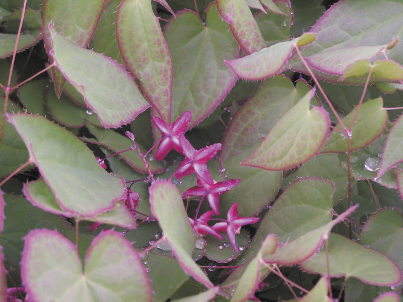 Photo detail