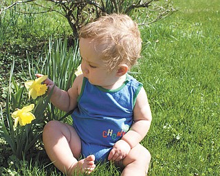 Ben Gaither, 1-year-old grandson of Laurie Fox of Lowellville, enjoys the daffodils at his grandparents’ house. Ben’s parents are Becky and Bill Gaither of Austintown. Photo sent in by Laurie Fox.