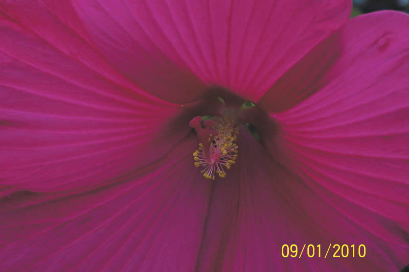 Photo detail