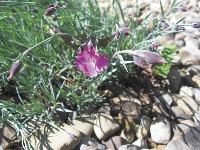 Photo detail