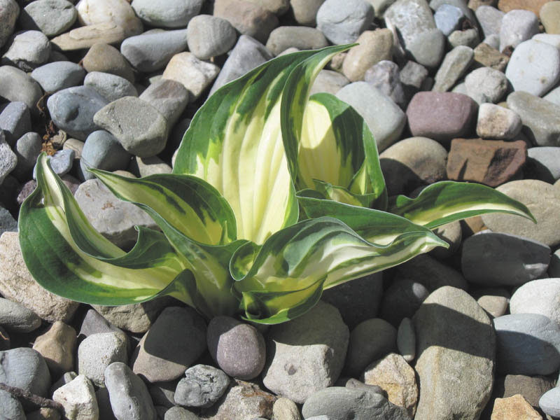 Photo detail