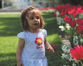 Brittany Schiffauer sent this picture of Sophia Sicilia Testa, 16 months, at Mill Creek Park.