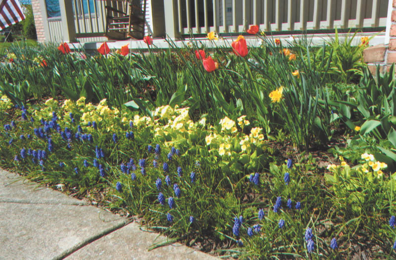 Photo detail