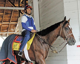 Fresh off a fourth-place finish in Saturday’s Kentucky Derby, Went the Day Well will compete in the Preakness on May 19, Youngstown businessman Bruce Zoldan, the horse’s co-owner, said Monday.