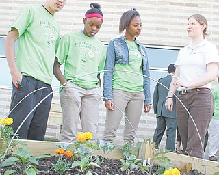 East High School students, from left, Angel Cosme, Breona Taylor and LeA’Jaha Day listen as Meagan Tehua of Goodness Grows talks about what’s included in one of the beds in the East High School Panthers Garden, a garden in the courtyard of East High School. The project was a joint effort among the school, Northeast Homeowners Association and Concerned Citizens Association and several partner individuals and organizations.