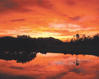 Reflections on the Canfield Bike Trail. Photo by Lana Vanauker of Canfield.