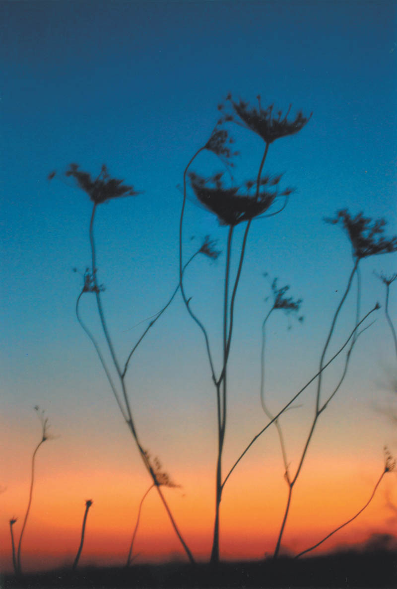 Fields at sunset in Canfield, as seen by Lana Vanauker of Canfield.