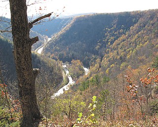 A view of the "Grand Canyon of the East," as it is fondly called, near Wellsboro, Pa. Photo taken during a horseback ride by Lisa and Dominic Pannunzio.