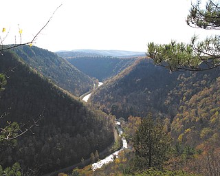 A view of the "Grand Canyon of the East," as it is fondly called, near Wellsboro, Pa. Photo taken during a horseback ride by Lisa and Dominic Pannunzio.