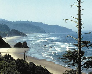 Ken Johnson sent in this photo of the Oregon Coast.