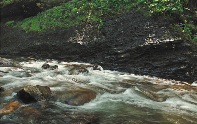 Photo detail