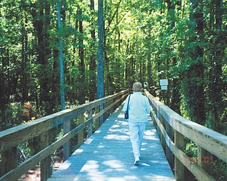 David Krepps of New Middletown sent in this photo of his wife, Patricia Krepps, exploring nature in Sun City, S.C.