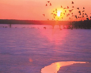 Here's a shot of Berlin Lake in the winter. Photo sent in by Lana Vanauker of Canfield.