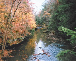 Linda Martin of Youngstown submitted this photo she took last year at Mill Creek Park.