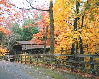 Linda Martin of Youngstown submitted this photo she took last year at Mill Creek Park.