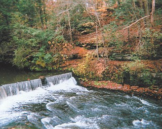Linda Martin of Youngstown submitted this photo she took last year at Mill Creek Park.