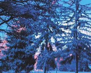 The winter of 2012 displayed some beautiful shades. Lana Vanauker of Canfield sent in this photo.