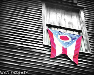 Marisa Stephenson of Poland sent in this photo of Ohio's flag, which was taken next to Lanterman's Mill in Youngstown while she was out walking with her mom and twin sister.