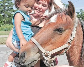 Jason Thomas, 1, and his mother, Tasha Thomas, both of Girard, pet Cheyenne before Jason rode her. The Girard Free Library has a summer reading program that includes story time for those too young to read.