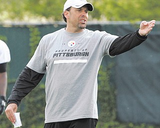 Pittsburgh Steelers offensive coordinator Todd Haley will use a more run-heavy offense than his predecessor, Bruce Arians, who was ousted earlier this year.