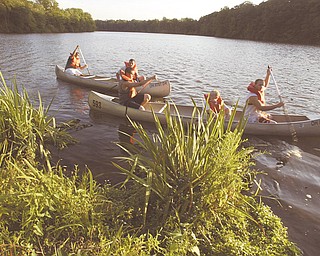 Members of Boy Scout troop 115 of Canfield participate in a canoe training event at LakeNewport in Mill Creek Park 7-24-12. They were prepapring for an annual canoe trip to the Mohican River in southern Ohio.