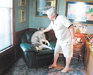 Atty. Jack Vaughn’s dog, Mush, suffers from severe separation anxiety so Vaughn brings the dog to work with him.