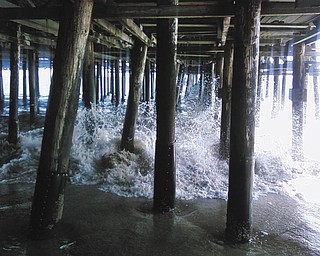 Photo courtesy of Linda Wittenauer.