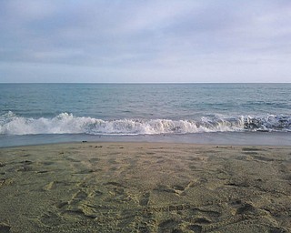 Photo courtesy of Linda Wittenauer.