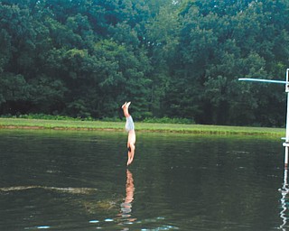 Lana VanAuker of Canfield submitted this photo of a diver at Speece Lake.