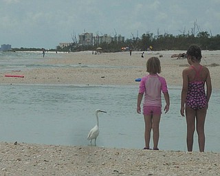 Sisters Camryn and Marissa find a beautiful bird on Lovers Key Beach in Florida. Photo sent in by Kelly Alexander.