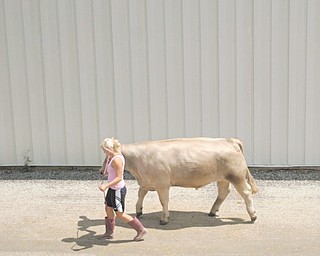 Walking her steer as she will compete for the last time in 4-H is Taylor Cope of Leetonia and "tucker" -
Columbiana Fair est 1845 The Columbiana Fair is again on till Aug 5 -