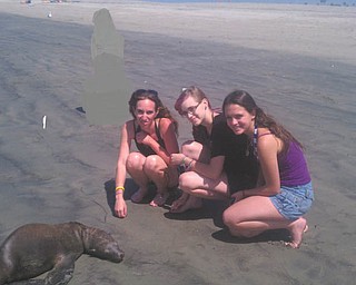 Wendy Jenkins and Brittany Jenkins of Boardman and Brittany Lockhard of Colorado Springs, Colo., find a baby seal found on Seal Beach in Long Beach, Calif. Photo was sent by Peg Sigle of Boardman, Wendy's mother and Brittany's grandmother.