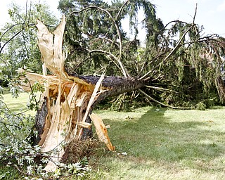 Storm damage in Girard, Ohio on August 5, 2012.