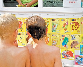 At right, Joey Fuscle, 8, and Michael Kiraley, 9, choose a treat very carefully.