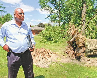 A summer storm Sunday left parts of Girard - Park Ave- Shannon Rd area on the northwest side of Girard with Trees down damage roofs etc. William M Comeaux - Meterologist from National Weather Service - Cleve- surveys the damage just east of Shannon Road.