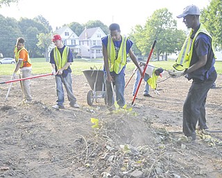 Volunteers, from left, Jerry Mims, Damon Dumns, Derek Etto and Ricky Williams, all of Youngstown, and Devin Harden of Coitsville clear out a lot on Truesdale Avenue to prepare it to be a park.